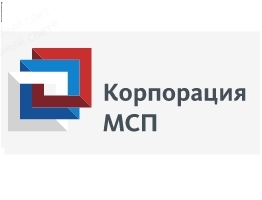 LEDEL о проекте АО Корпорации МСП «Бизнес-навигатор» 